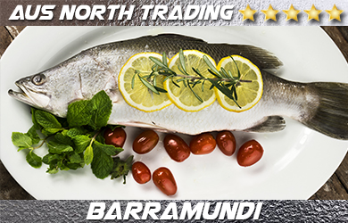 best fresh barramundi asia aus north trading singapore thailand china japan malaysia indonesia philippines brunei vietnam fish importer exporter darwin australia northern territory