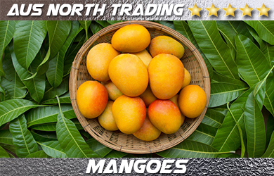 best fresh mangoes asia aus north trading singapore thailand china japan malaysia indonesia philippines brunei vietnam mango importer exporter darwin australia northern territory