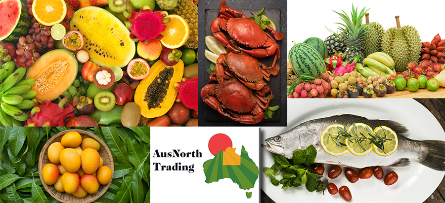 best fresh seafood fruit vegetables asia aus north trading brunei mud crabs mangoes barramundi jewfish importer watermelons okra exporter darwin australia northern territory