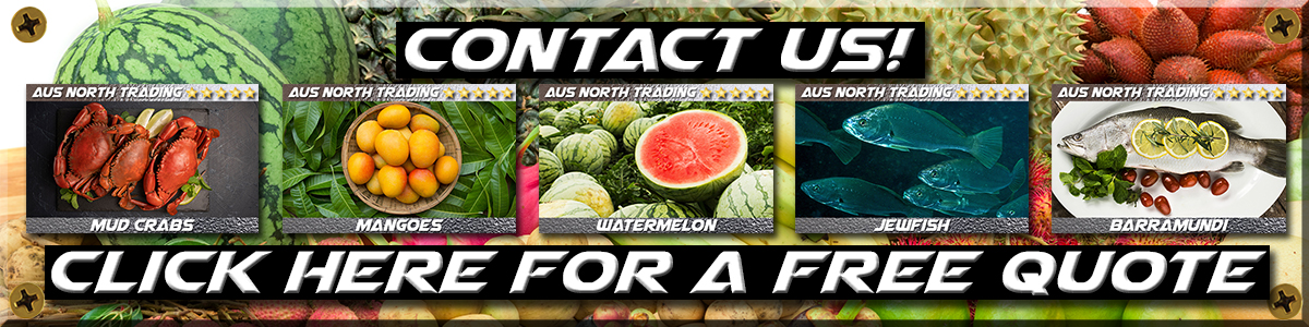 contact button aus north trading best seafood fruit vegetables asia mango barramundi jewfish watermelon